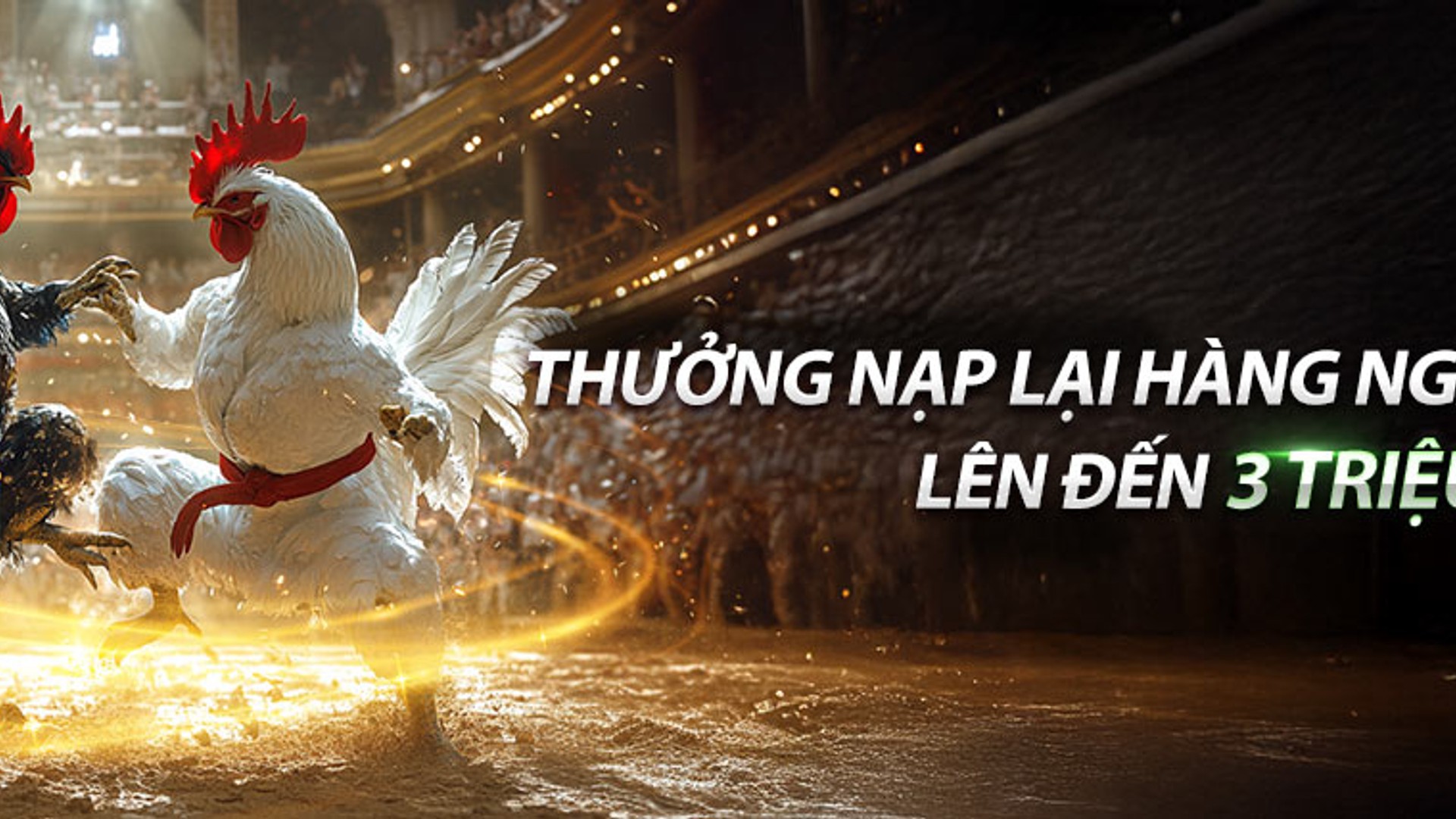 Okwinbet cam kết chính trực và công bằng trong iGaming